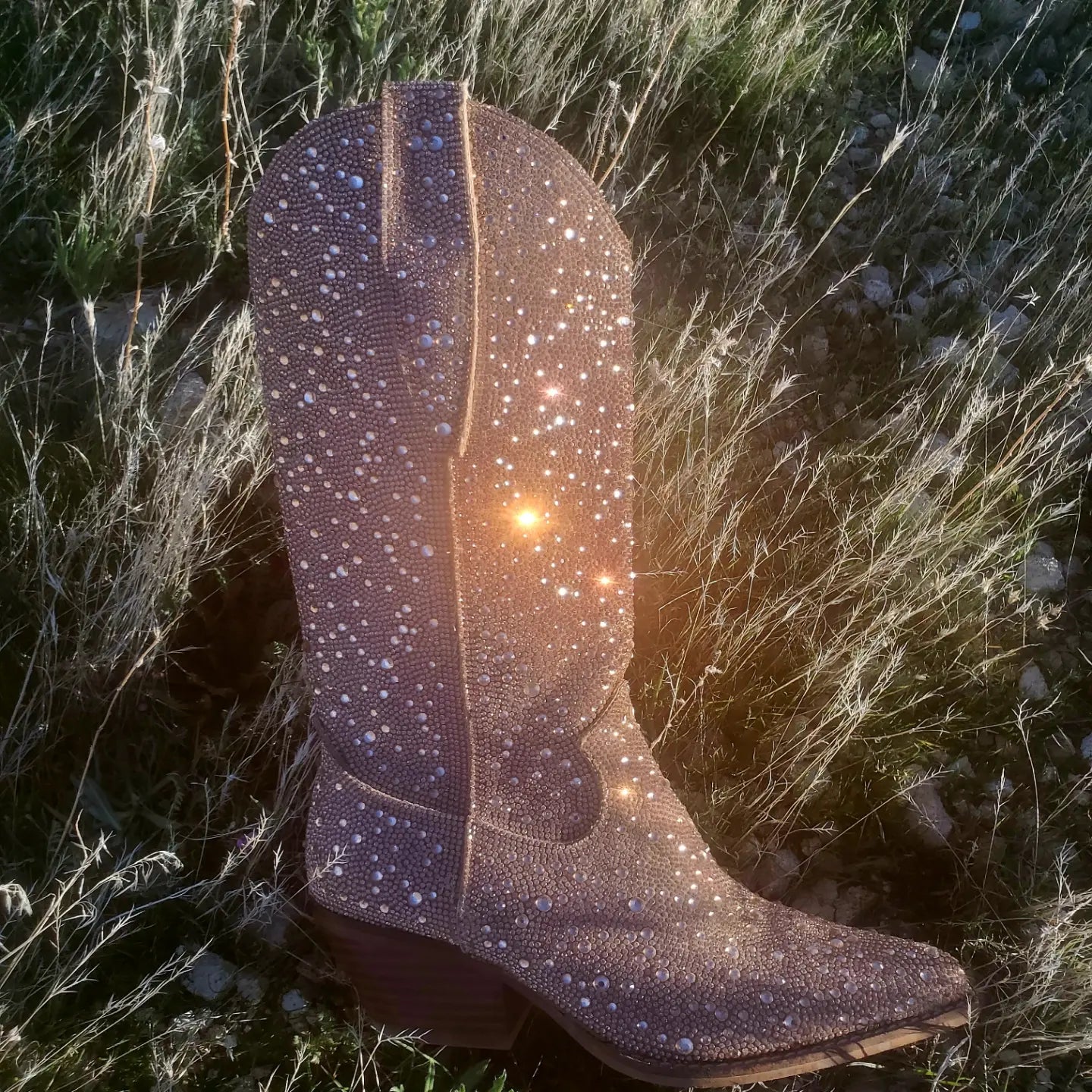 SUNSET TALL BOOT - CHAMPAGNE